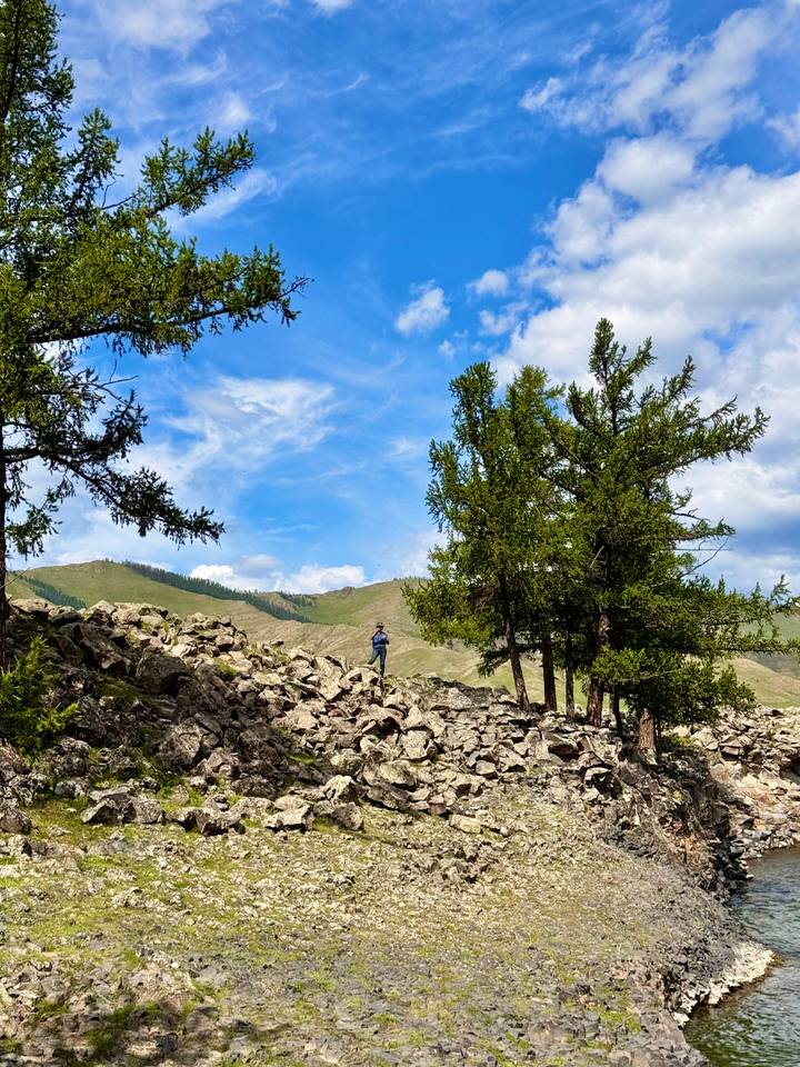 Traveler standing among rocky outcrop and larch trees under bright mountain sky.