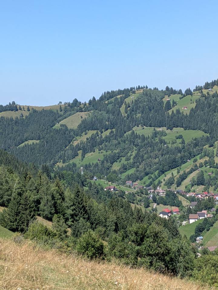 Green rolling hills dotted with scattered cottages and dense pine forests in the Carpathian Mountains.