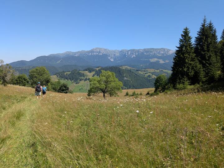Backpackers hike through a wildflower meadow toward rugged mountain peaks and evergreen forests.