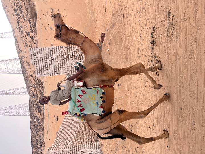 Young boy rides a camel across sandy desert terrain with power pylons and brick structures in the background.