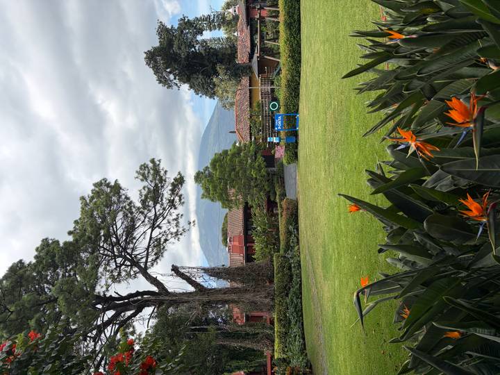 Well-kept garden with Bird of Paradise flowers and a distant volcano under clouds.