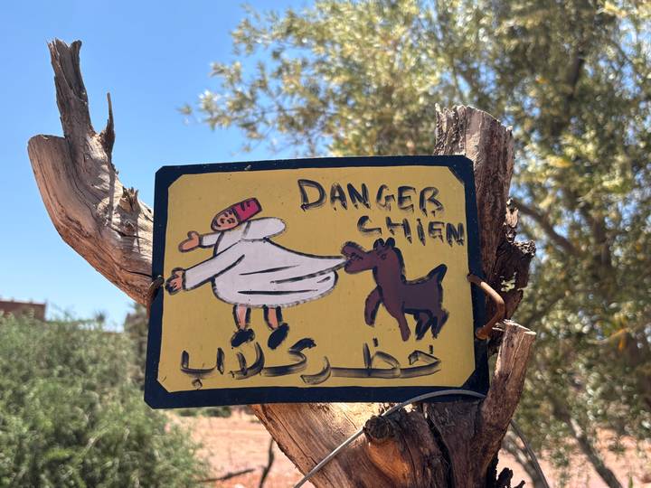 Hand-painted wooden sign warning of a dog, mounted on a tree branch with blue sky peeking through olive leaves.
