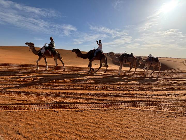 Camel caravan strides across rippled orange dunes under a bright morning sky, a rider waving enthusiastically.