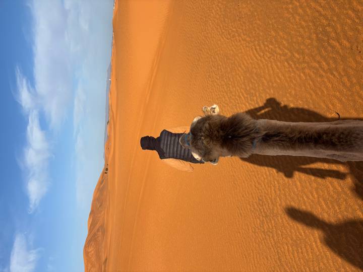 View from camelback following a guide across endless orange dunes beneath a blue sky streaked with clouds.