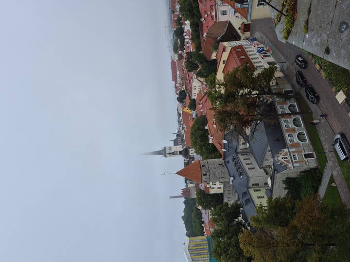 Panoramic viewpoint over Tallinn’s red-roofed Old Town with spires piercing a misty grey sky.