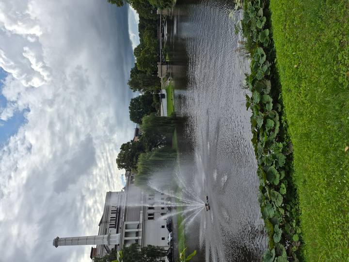 Peaceful city park with a spraying fountain beside a calm pond fringed by lilies and trees.