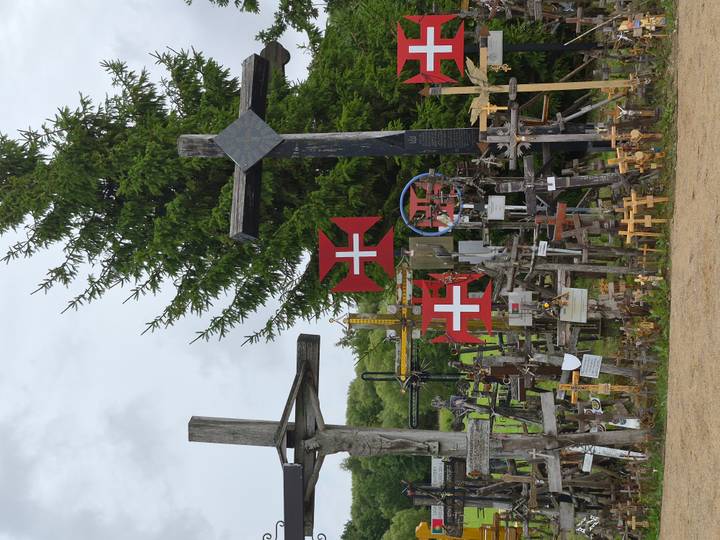 Dense forest of wooden crosses and crucifixes under a cloudy sky at the Hill of Crosses.