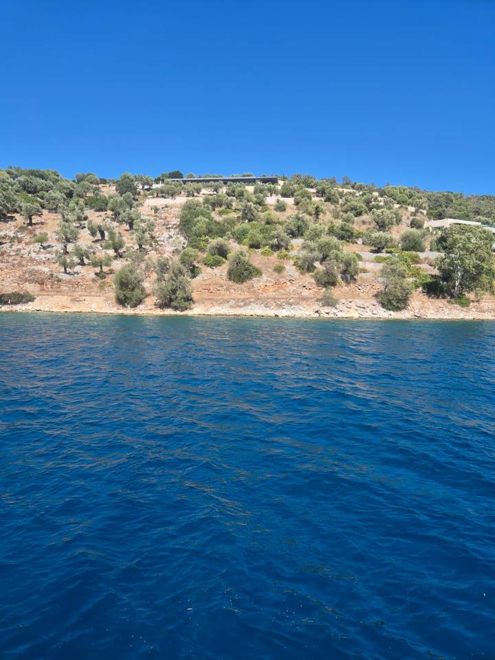 Rocky, shrub-covered coastline beside deep blue water captured from boat.