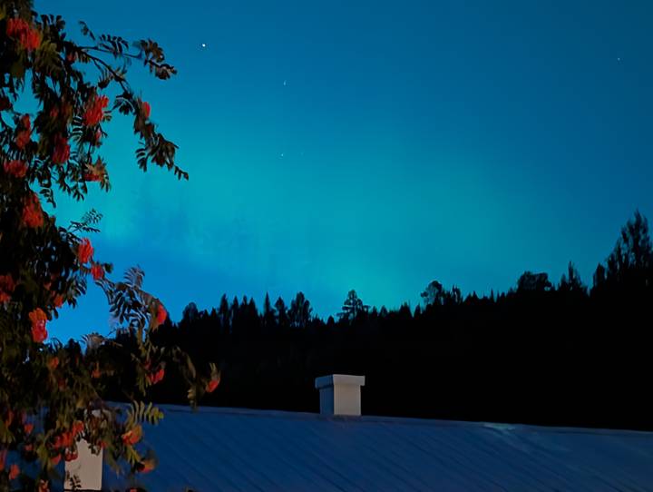 Deep blue twilight sky with faint green aurora glow above a dark forest silhouette and rooftop chimney.