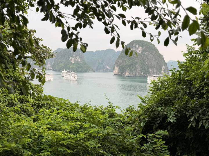 Scenic view of emerald karst islands and cruise boats on Halong Bay framed by foliage.