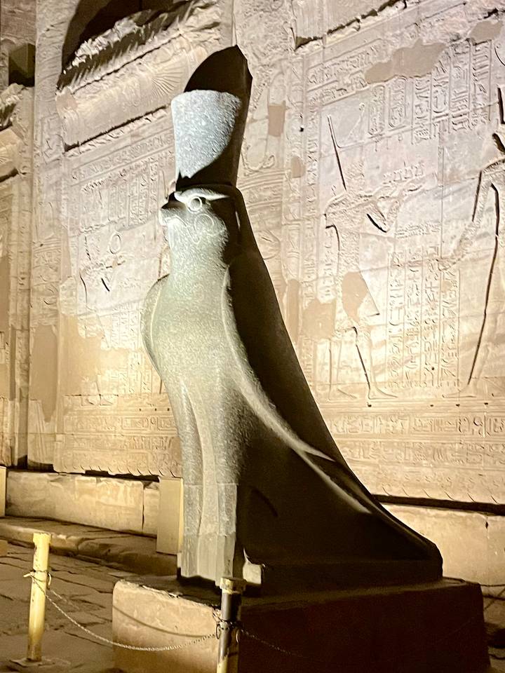 Illuminated Horus falcon statue against hieroglyph-covered temple walls at night.