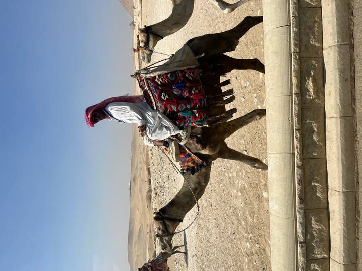 Bedouin guide in traditional attire rides a camel across a desert plateau.