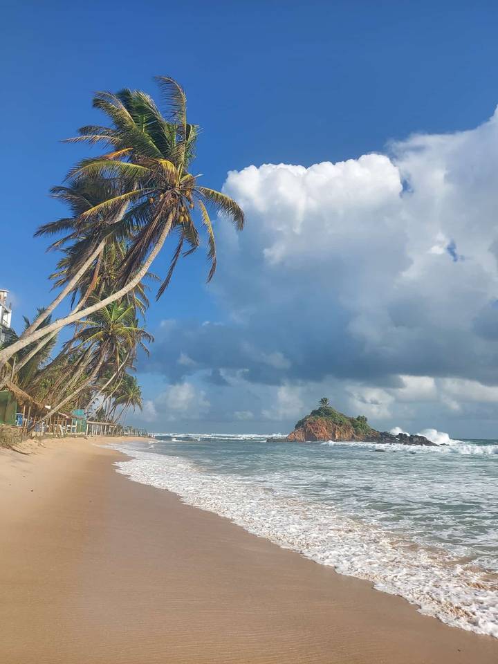 Tropical palm trees line a golden beach facing turquoise waves and a small rocky islet.