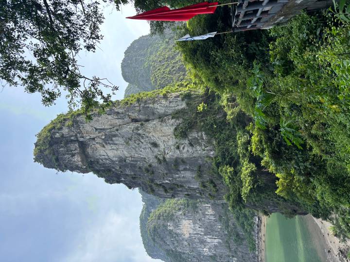 Steep limestone karst peak covered with lush vegetation towers over a green river valley.