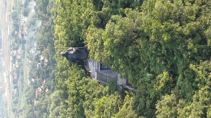 Large Buddha statue stands on a forested hilltop accessed by a long staircase above dense greenery.