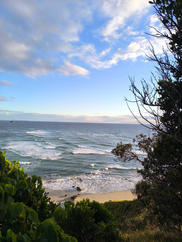 Wide seascape of rolling waves under a pastel evening sky framed by coastal vegetation.