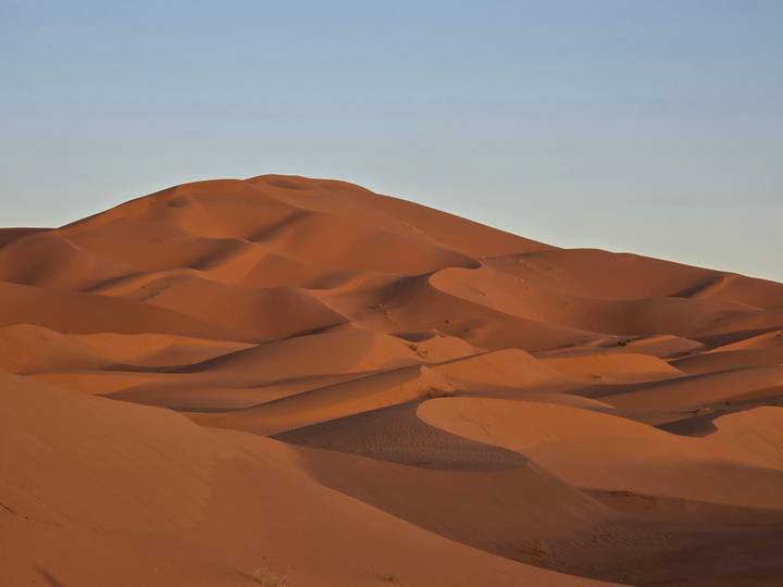 Soft evening light paints rolling Sahara dunes in deep orange tones, their ridges forming graceful curves.