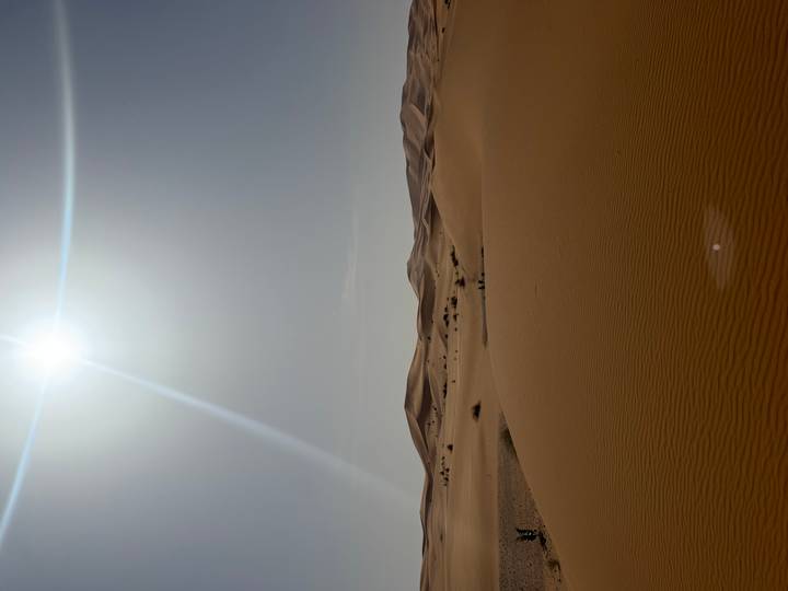 Midday sun streams over sweeping Sahara dunes, a bright flare cutting the clear sky.