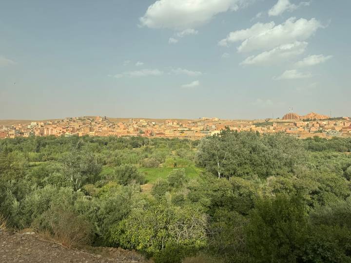 Panoramic view of an adobe‐coloured Moroccan town backed by rolling hills with a foreground of green oasis