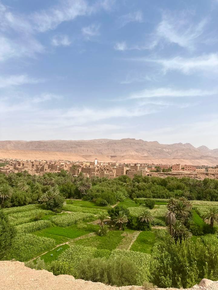 Oasis town with palm groves framed by arid mountains beneath a blue sky