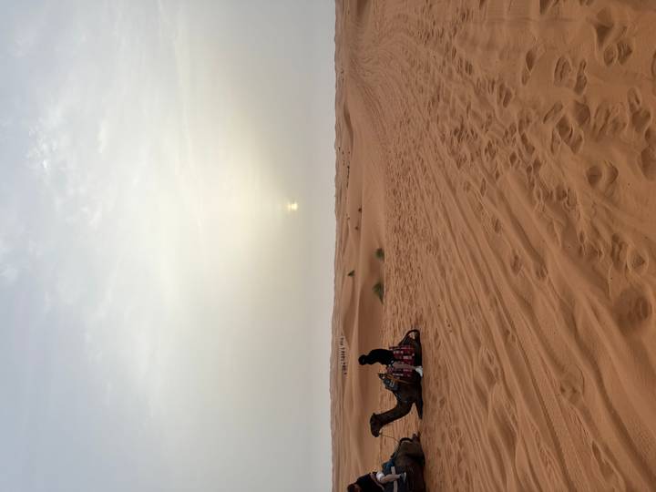 Wide desert vista with a lone rider beside a camel against soft, muted sunset light over rippled sand.
