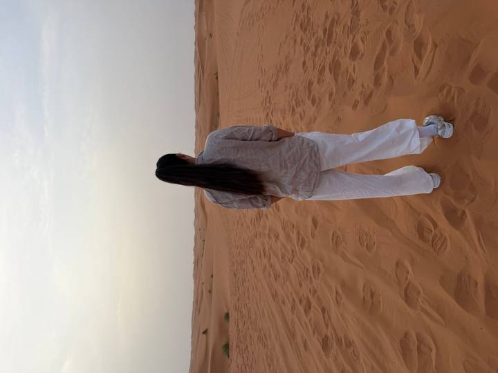 Back view of a traveler standing on reddish sand dunes gazing across a vast desert landscape at dawn.