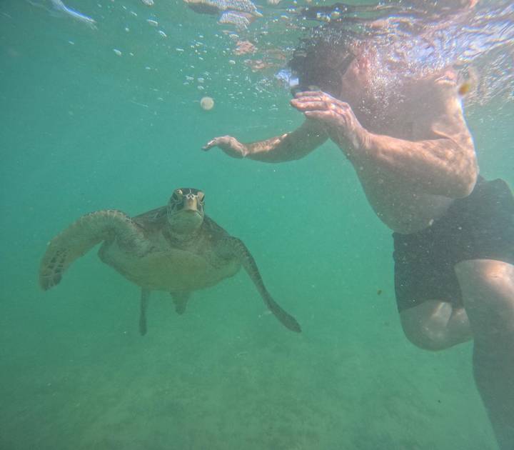 Snorkeler swimming beside a sea turtle in greenish tropical water.