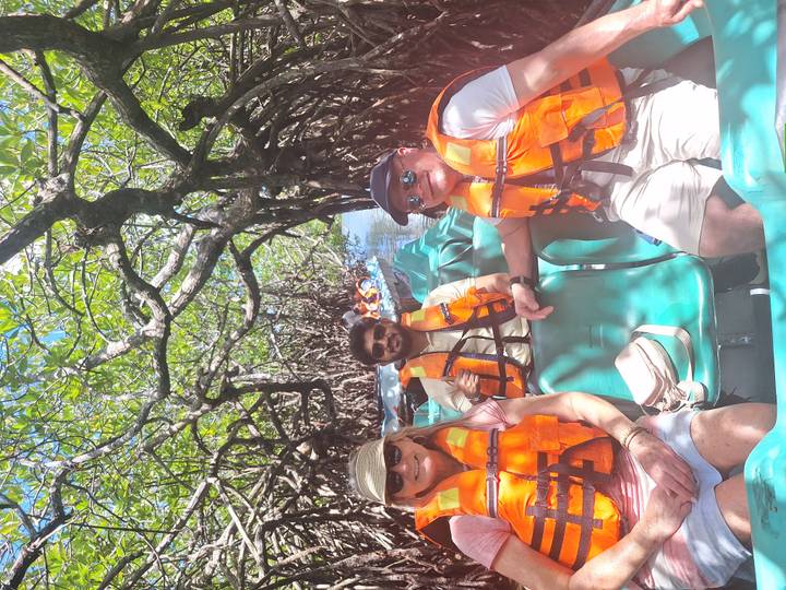 Tourists wearing orange life jackets sit in a narrow boat navigating through dense mangrove roots.