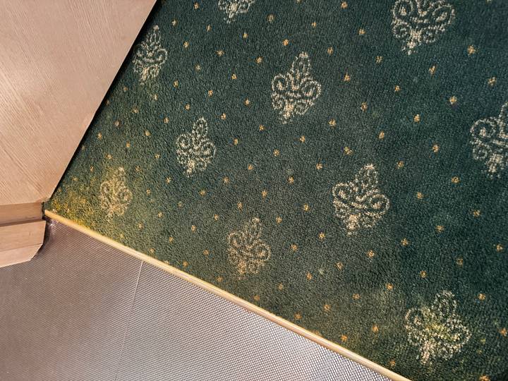 Close-up of patterned green carpet near a doorway.