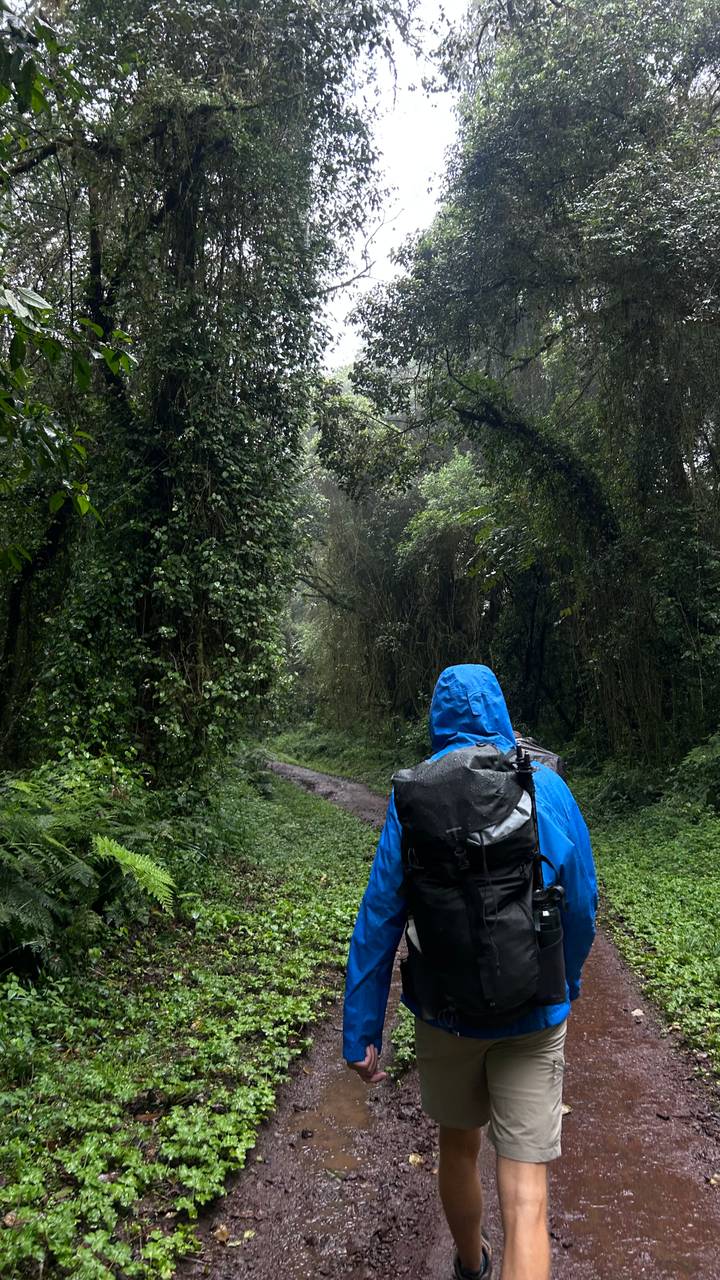 Back view of a hiker in a blue rain jacket walking through a lush, misty forest trail