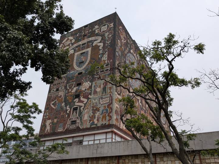 UNAM Central Library tower covered in intricate mosaic murals with tree branches in foreground