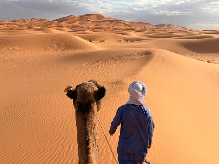 View from atop a camel led by a blue-robed guide through an endless sea of golden sand ripples.