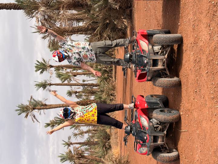 Two riders stand triumphantly on quad bikes among tall palms in a dusty red desert oasis.