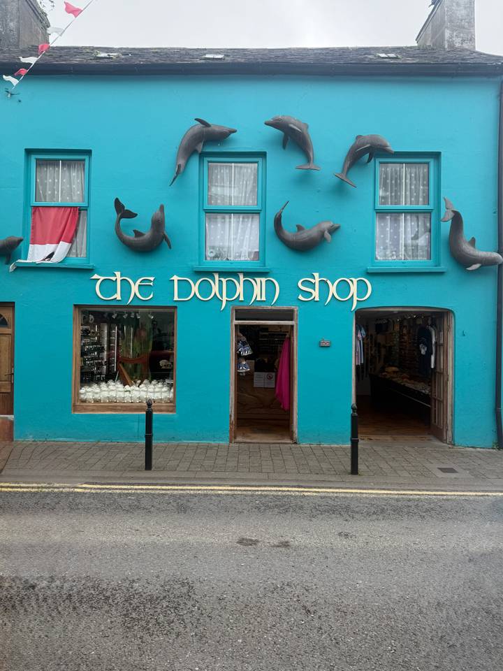 Bright turquoise storefront titled "The Dolphin Shop" with quirky dolphin sculptures mounted above.