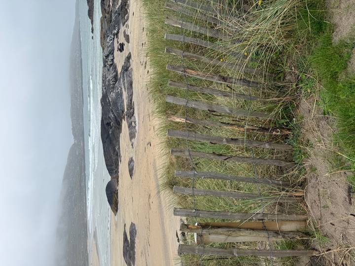 Wind-weathered wooden fence bordering grassy dunes leading to a grey, windswept beach and rolling surf.