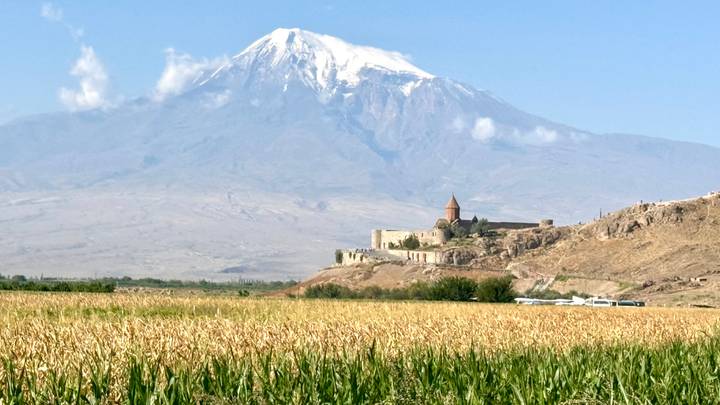 Golden cornfield leading to Khor Virap monastery with majestic snow-capped Mount Ararat behind.
