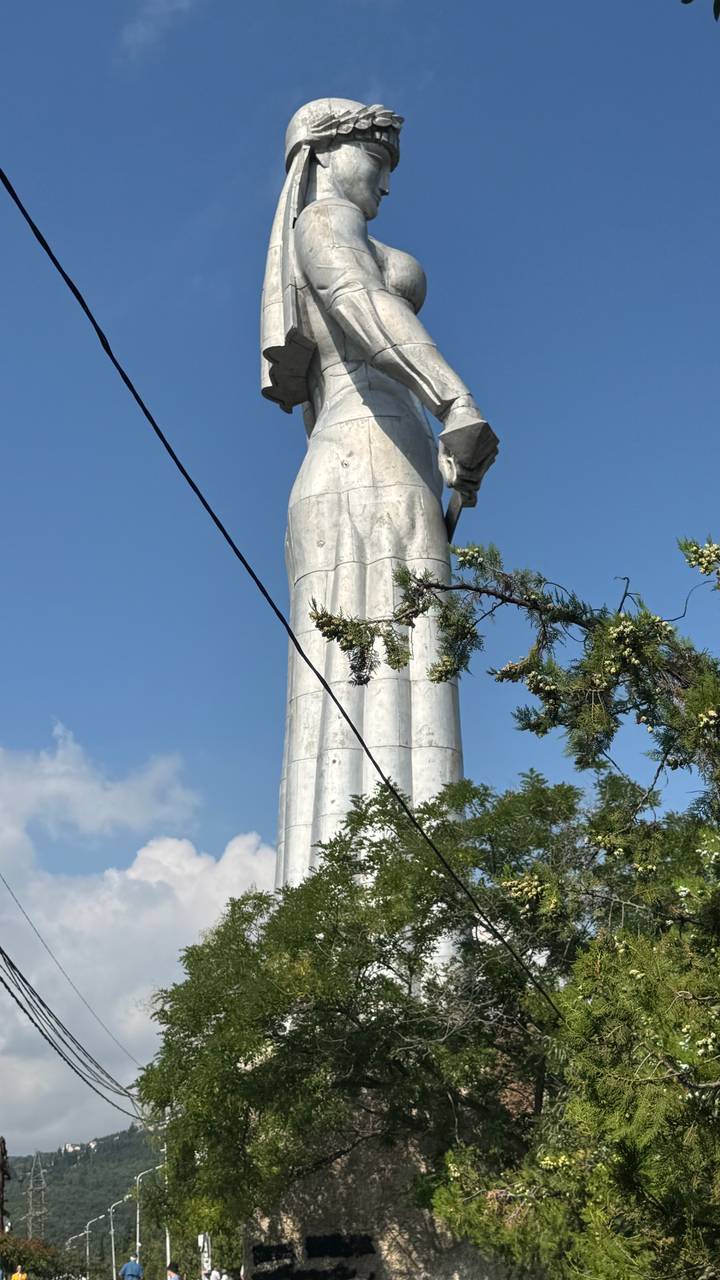 Partial view of the towering silver Mother of Georgia statue framed by tree branches.