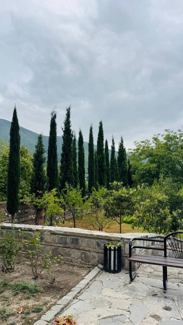 Row of tall cypress trees rising against misty forested hills and cloudy sky.