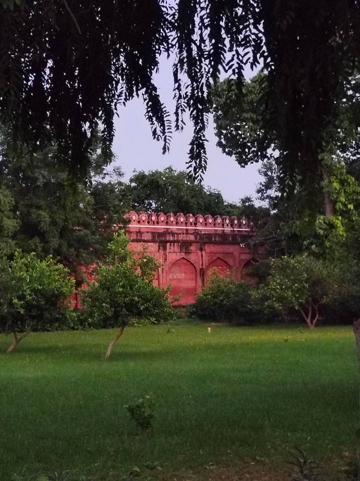 Dim evening view of a red sandstone wall partly hidden by dense trees in a garden.