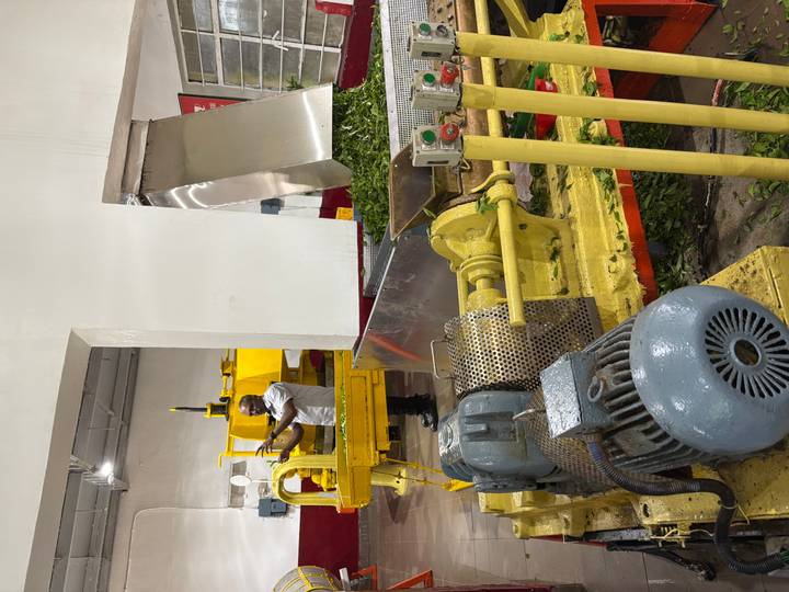 Worker demonstrating machinery in a tea factory surrounded by leaves and yellow equipment.