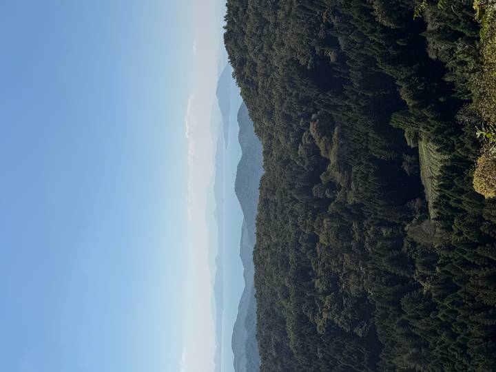 Expansive view over forested mountains fading into blue layers beneath a clear sky.
