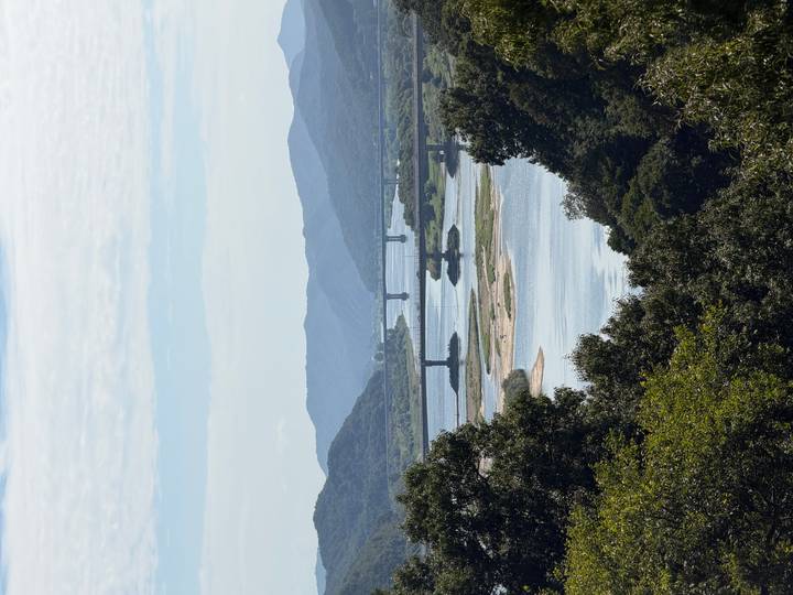 Scenic river valley with multiple bridges weaving between tree-covered mountains under soft light.