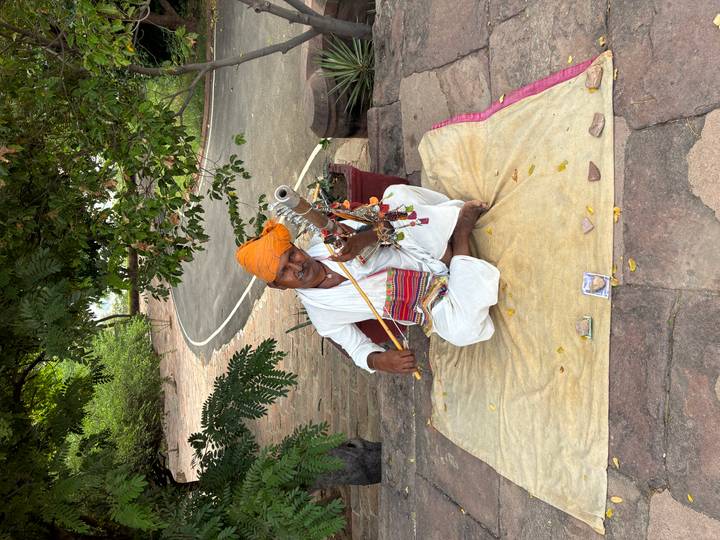 Rajasthani folk musician in white clothing and orange turban plays a traditional string instrument while seated on a mat under leafy trees.