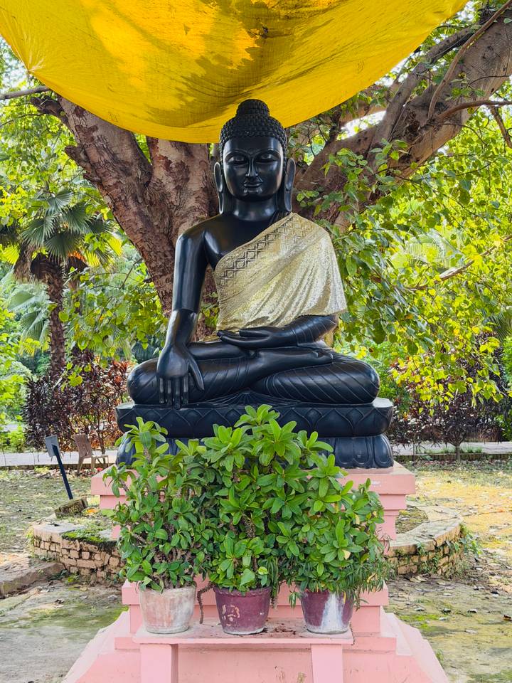 Elegant black stone Buddha statue draped in a gold sash beneath lush garden foliage.