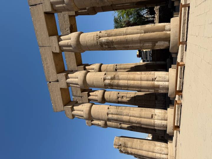 Row of massive papyrus-styled columns at Luxor Temple bathed in midday sunlight.