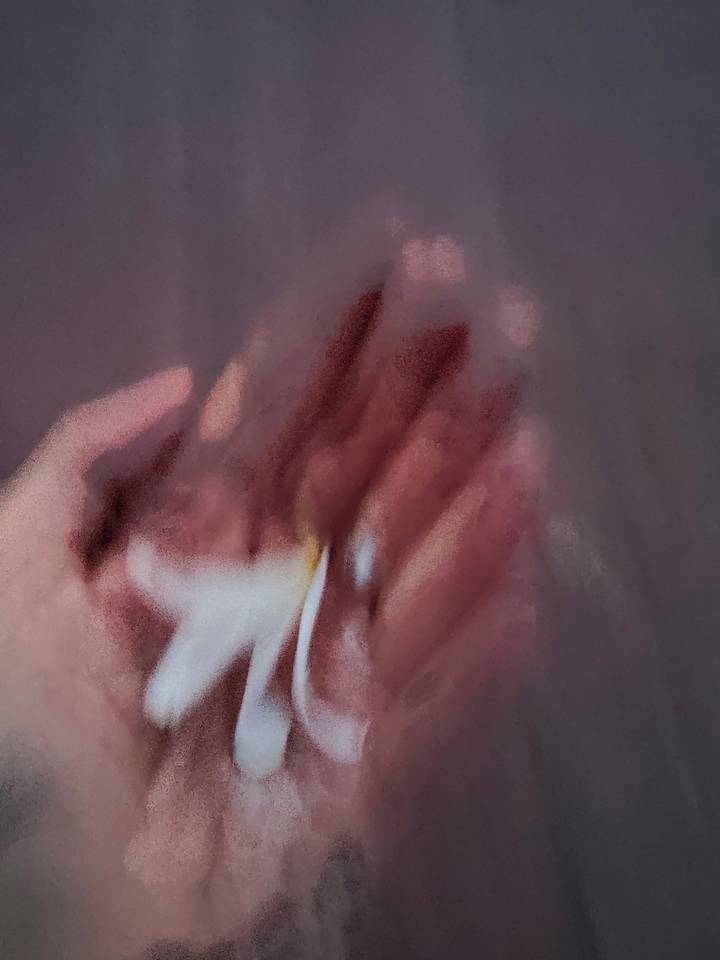 Blurry close-up of a hand holding a small white flower against a pinkish background.