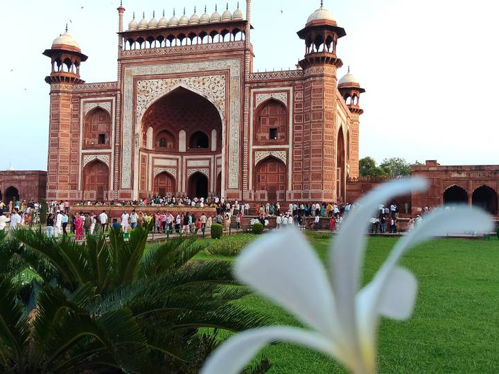 Busy entrance gate of the Taj complex with a blurred white flower in the foreground.