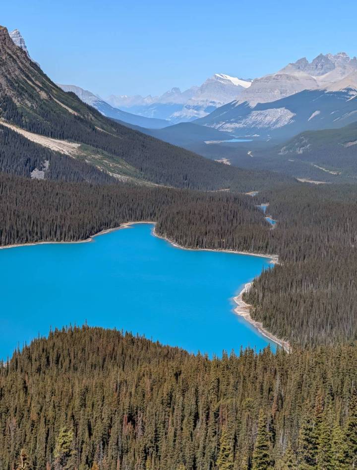 Vivid turquoise glacial lake bordered by dense dark conifer forest and mountain ridges.