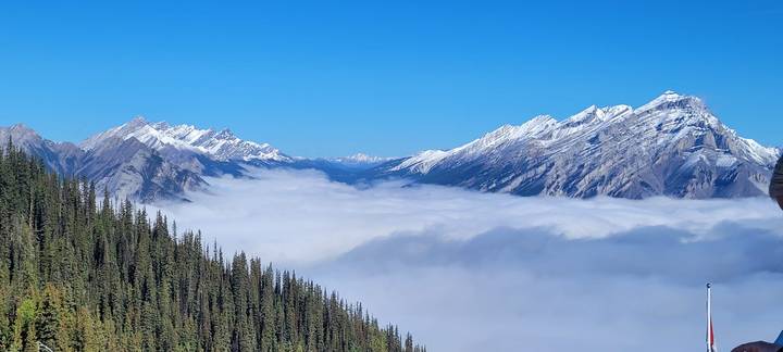 Snow-dusted Rocky Mountain ranges rise above a thick sea of valley fog, viewed from a high alpine viewpoint lined with pine trees.