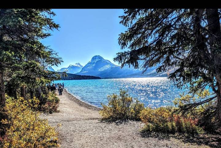 A lakeside trail framed by evergreens leads to sparkling blue water and a distinctive peak shining in bright sunlight as visitors stroll along the shore.